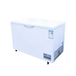Good Quality Large Space White Freezer Wholesale High Quality Frozen Food Simple Gate Storage Freezer