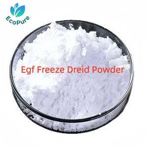 Poudre <span class=keywords><strong>pure</strong></span> d'EGF |   Facteur de croissance épidermique en poudre lyophilisée - Product Image 1