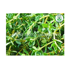 Extracto de Roselle, Suplemento Herbal Antioxidante Natural - Product Image 1