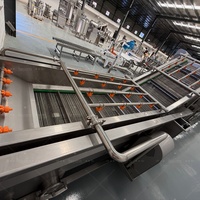 Mango-sap productielijn |   Complete Mango Verwerkingsmachine voor het maken van vruchtensap, turnkey mango sap productielijn