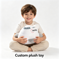 Jouet en peluche avion personnalisé sur mesure avec logo imprimé, design dessin animé, taille personnalisée