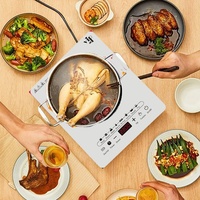 Cuisinière à induction portable commerciale et domestique 2200W Contrôle tactile Plan de cuisson en cristal Plastique durable Plaque de cuisson électrique