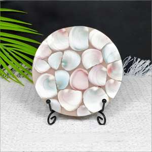 Cristales de Concha Fósil Tallados, Piedras Curativas, Placa Redonda de Concha Fósil en Venta, Novedad en Oferta - Product Image 6