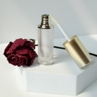 Tube de gloss à lèvres givré avec bouchon à vis argenté et doré, applicateur métallique, impression de logo personnalisée, 5 ml, matériau ABS