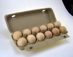 Bandejas de huevos de papel de pulpa molde de la placa de papel fabricación de moldes - Product Image 2