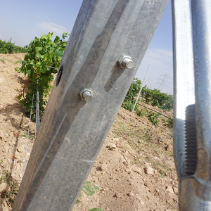 Poste de Acero Galvanizado para Viñedos y Proyectos de Enrejados, Fácil de Montar - Product Image 6