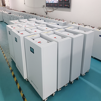 Batterie au lithium-ion phosphate de fer LiFePO4 montée sur rack de 20 kWh, 24 V, 48 V, 400 Ah, 100 Ah, 200 Ah, 300 Ah, rechargeable, stockage d'énergie solaire