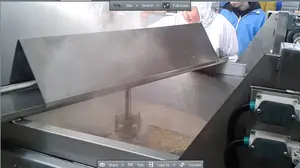 Tca Fabriek Leverancier Pinda Voedingsmiddelen Koekenpan Automatische Batch Friteuse Machine