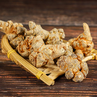 Raíz de Panax Notoginseng / Sanchi (San Qi) de Yunnan, Radix Pseudoginseng Entero Recién Cosechado, Venta al por Mayor de Raíz de Pseudoginseng para Té