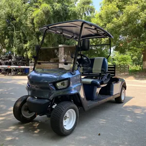 Two seater car golf electric with cargo box
