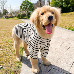 T-shirt d'été rayé en coton pour chien, pull moderne pour animaux de compagnie, pour Welsh Corgi, Samoyed, Husky, <span class=keywords><strong>Labrador</strong></span>, <span class=keywords><strong>Golden</strong></span> <span class=keywords><strong>Retriever</strong></span> - Product Image 1