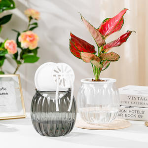 Clair rond <span class=keywords><strong>paresseux</strong></span> bureau mignon jardin jardinières en plastique bonsaï Pot fleur plantes d'intérieur automatique auto arrosage pots de plantes - Product Image 4