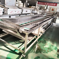 Automatische belletjeswasmachine, 304 roestvrijstalen fruit- en groentewasser voor de verwerking van fruit en groenten