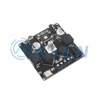 Carte d'amplificateur de puissance numérique TPA3116D2 50W+50W, amplificateur audio stéréo Hifi 5.0 pour systèmes sonores professionnels