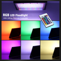 Projecteur LED AC 220V/DC12V, projecteur extérieur étanche IP65, 50W/100W, télécommande 24 touches, faisceau 120°, jardin