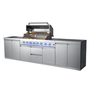 Horno de Gas Multifuncional con Asador, Estufa para Camping y Fiestas, Barbacoa de Acero Inoxidable con Múltiples Quemadores a Gas y Carbón AY-HNS-B8 - Product Image 6