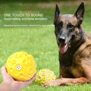 Commercio all'ingrosso di alta qualità Pet Ball giocattolo speciale superficie del suono irregolare resistente al morso giocattolo di addestramento interattivo per cani - Product Image 6