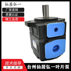 Pompe à aubes HONGYI YB-E160125-L Pompe hydraulique haute pression 160 cm - Product Image 4