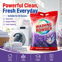 Poudre à lessiver personnalisable OEM, formule douce pour les peaux sensibles, sans résidus, pour le lavage quotidien des vêtements, scénarios domestiques