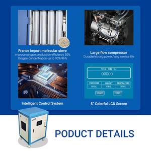 AERTI 20L PSA 氧气发生器金属外壳高输出氧气浓缩器，适用于水族馆 - Product Image 5
