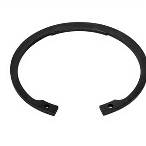 Anillo de Alta Eficiencia 042174004 para Motor de Bomba, para Viviendas y Edificios Públicos, 1 kg - Product Image 1