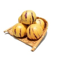 Direct Deal Premium Natuurlijk Voedingsmiddelkwaliteit Ginseng Fruitextract & Poeder met Vitamine Oplosmiddelextractie