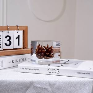 Adorno de Cubo de Resina Acrílica con Piña de Pino Integrada, Decoración Minimalista Cuadrada para Sala de Estar, Regalo de Cumpleaños, Paquete Individual - Product Image 1