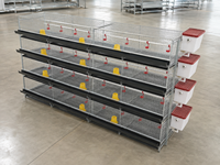 Cage d'élevage automatique à batterie avec bande de fumier pour poussins de chair et fermes avicoles à haute densité