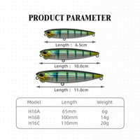 Leurre de pêche Hessen OEM 65mm 6g 100mm 14g 110mm 20g pour la pêche au bar, leurre crayon longue portée, stickbait eau douce
