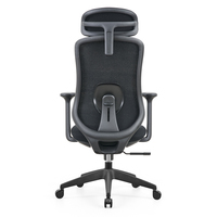 Chaise de bureau ergonomique avec soutien lombaire adaptatif en maille, accoudoirs fixes, design moderne, pivotante, chaise de direction