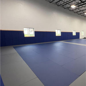 Rembourrage mural de salle de sport directement de l'usine, rembourrage personnalisé pour salle de taekwondo - Product Image 3