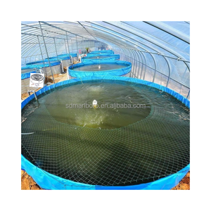 Vasche di piscicoltura per pesci Dia 10m di altezza 1.45m altre attrezzature per acquacoltura per allevamento ittico - Product Image 4