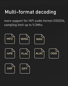 Lecteur DAP Hi-Fi de style vinyle avec Bluetooth 4.2, lecteur de musique sans perte DSD256 avec contrôle par molette pour audiophile, idéal comme cadeau - Product Image 2
