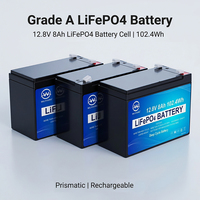 Baterai Lifepo4 12V 12.8V Mini LiFePO4 7Ah 10Ah 20Ah 40Ah 50Ah 100Ah Baterai Lithium Ion untuk Peralatan Listrik