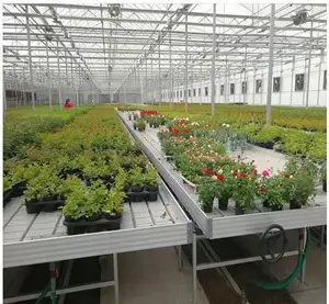طاولات التدفق والانحدار لزرع النباتات البيوت الزجاجية طاولات غامرة للزراعة المائية