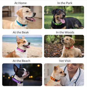 Großhandel Personalisierte Schnallen-Halsbänder aus Neopren für Haustiere, Verstellbare Reflektierende Hundehalsbänder - Product Image 2