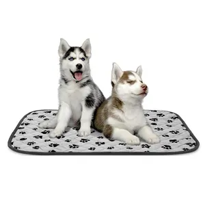 Cuscinetto per addestramento per animali domestici impermeabile a colori con specifiche personalizzate all'ingrosso XL cuscinetti per pipì per cuccioli di cane per l'allenamento della pipì