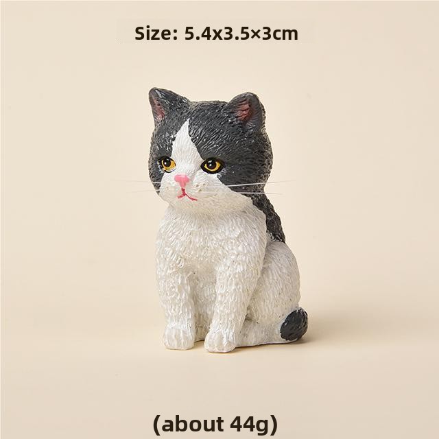 1-อื่นๆ