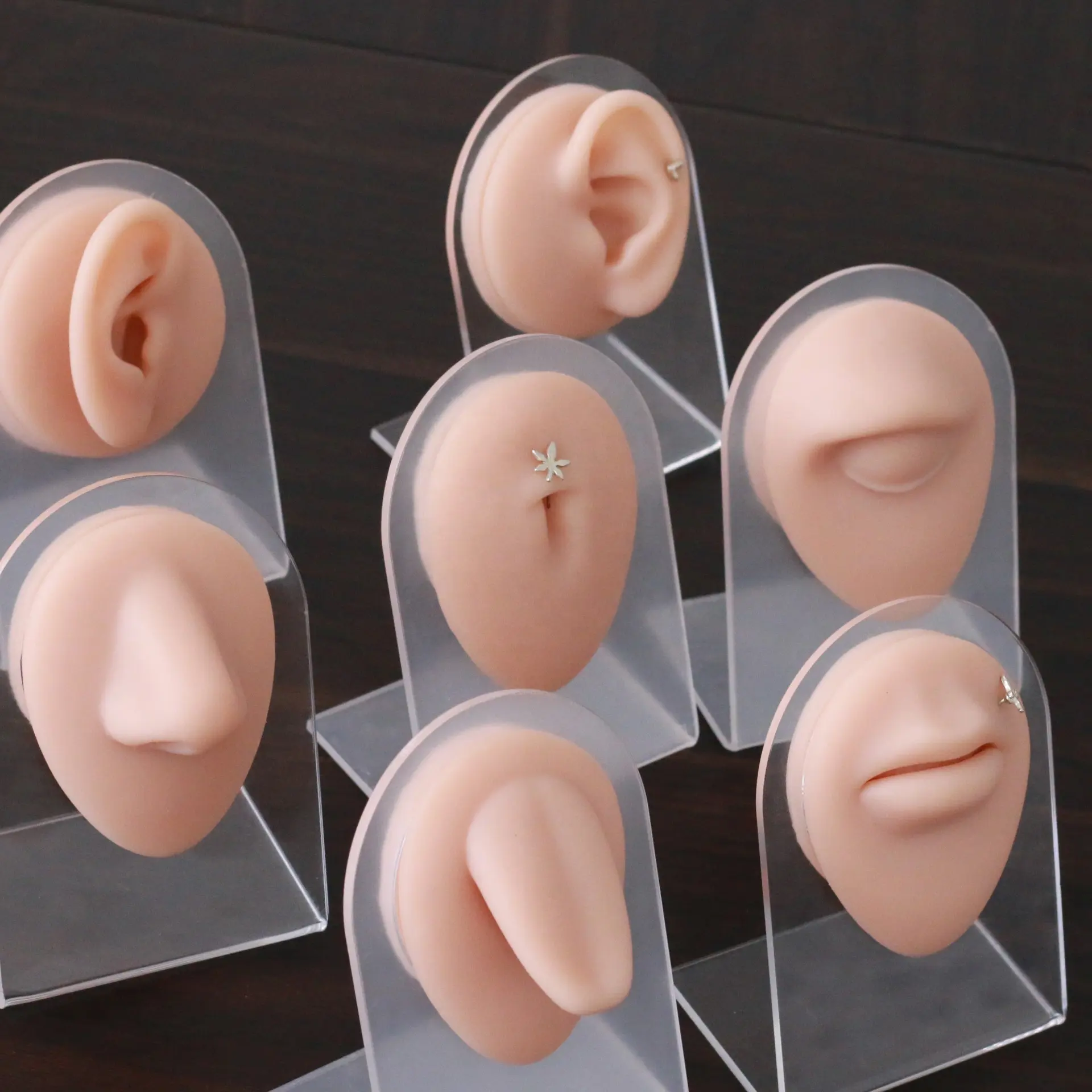 Modèle en silicone souple et flexible pour les parties du corps, présentoir réaliste pour bouche, oreilles, langue, nombril, nez, ongles, bijoux, pratique