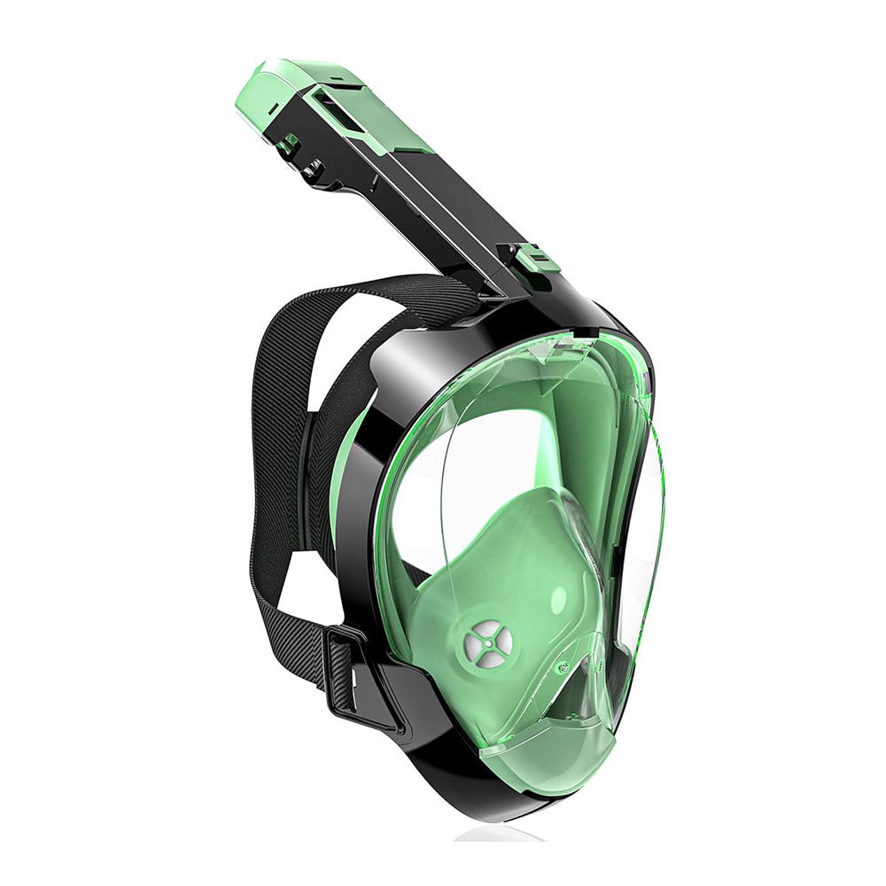 สีดำและสีเขียว