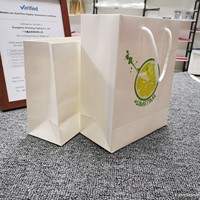 Custom Large Medium White Luxury Gold Foil Matte Embossed Laminated Paper Bag Sturdy Shopping for Clothing Store and Gift