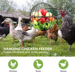 Mangeoire suspendue de luxe pour oiseaux, ensemble d'alimentation pour oiseaux sauvages, best-seller transfrontalier - Product Image 3