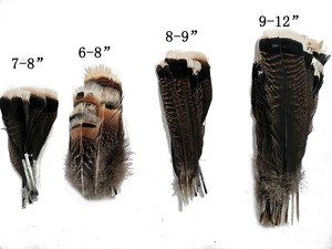 Ailes de dinde sauvage teintées fantaisie avec motif rayé naturel pour accessoires de coiffure, décoration intérieure et artisanat - Product Image 2