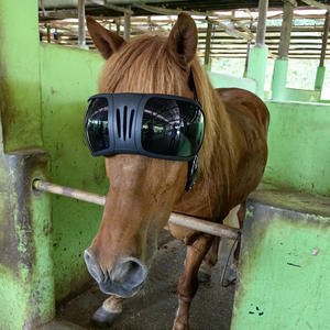 Büyük at gözlük UV koruma deve gözlük kaplan eşek inek pet güneş gözlüğü rüzgar geçirmez kum - Product Image 6