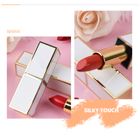 Lápiz labial de larga duración resistente al agua, bálsamo labial, crayón labial mágico mate de terciopelo rojo personalizado de alta calidad