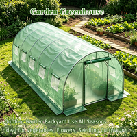 Serre tunnel commerciale économique pour tomates et fraises, mini-serre pour jardin