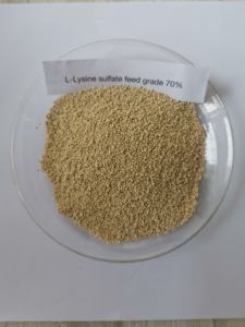 הזנה כיתה l-ליזין monohydroכלוריד תוסף חומצת אמינו תזונתי עבור עופות & מזון לבעלי חיים - Product Image 2