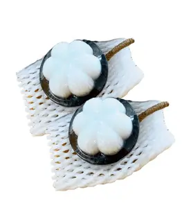山竹形状花式肥皂泰国草药配方，有助于护理和滋养皮肤泰国人手工制作的肥皂