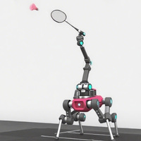 Robot sportif automatique de badminton, conception et développement de produits sur mesure, service de conception de produits mécaniques