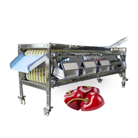 Fruit Sorteermaat Bosbessen Sorteermachine Kersen Oranje Bessen Sorteermachine Vruchtensorteermachine
